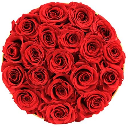 Red Rose Wrap – Hampershub