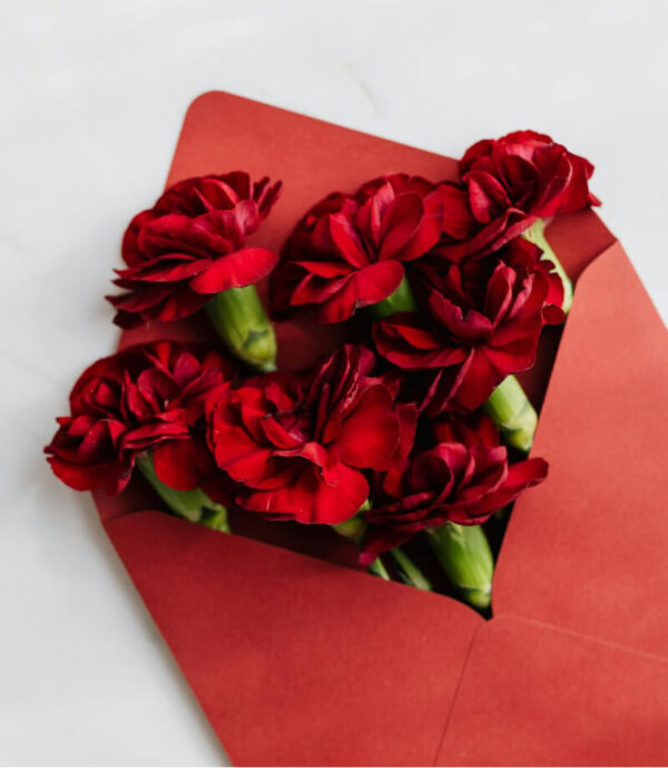 Red Rose
