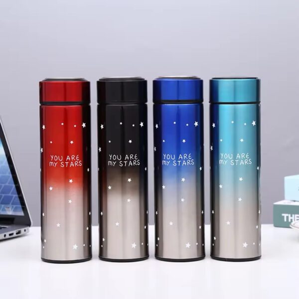 Stainless Steel Bottle