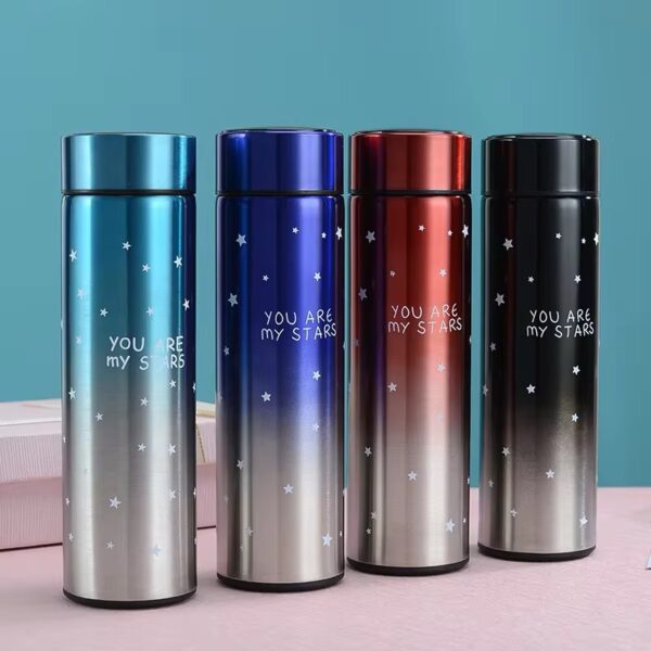 Stainless Steel Bottle - Image 6