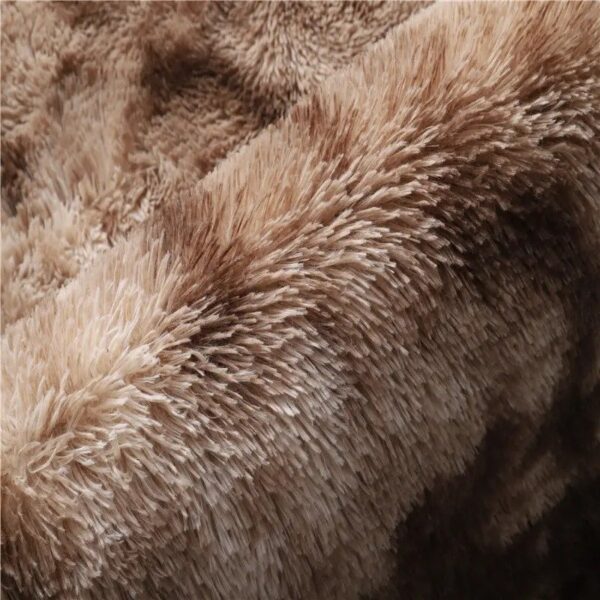 Light Brown Shaggy Area Rug - Image 2