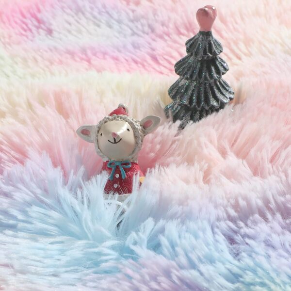 Rainbow Fluffy Carpet - Image 7